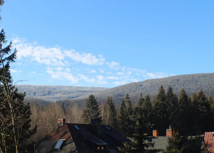 Pod Swierkami 斯克拉斯卡波伦巴