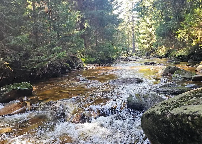 Pod Swierkami שצ'קלארסקה פוראובה